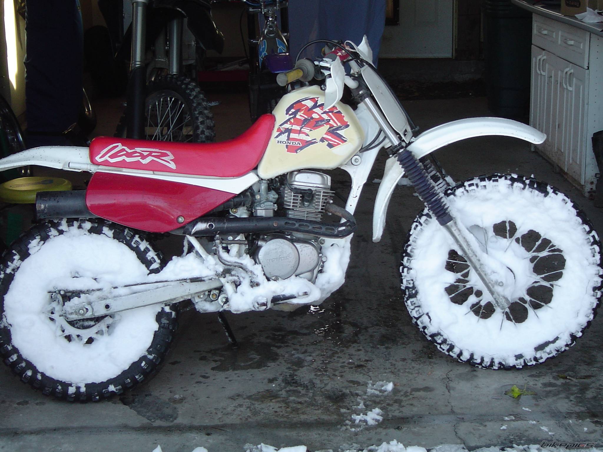 Photo 248743