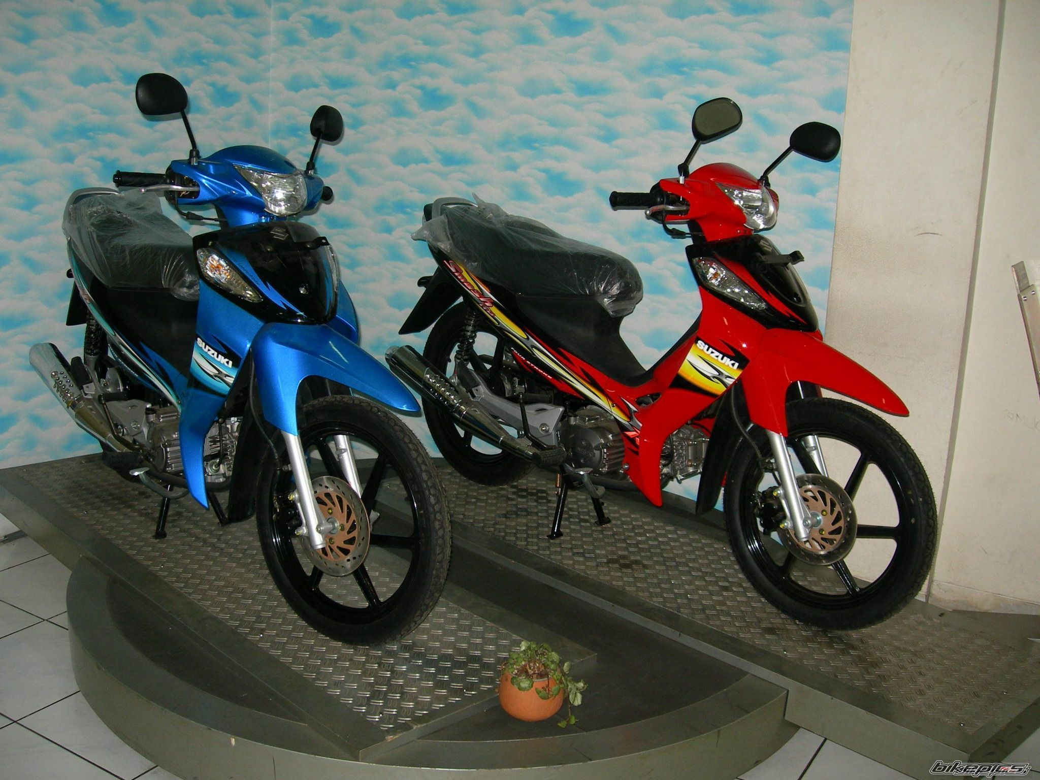 Photo 2487555