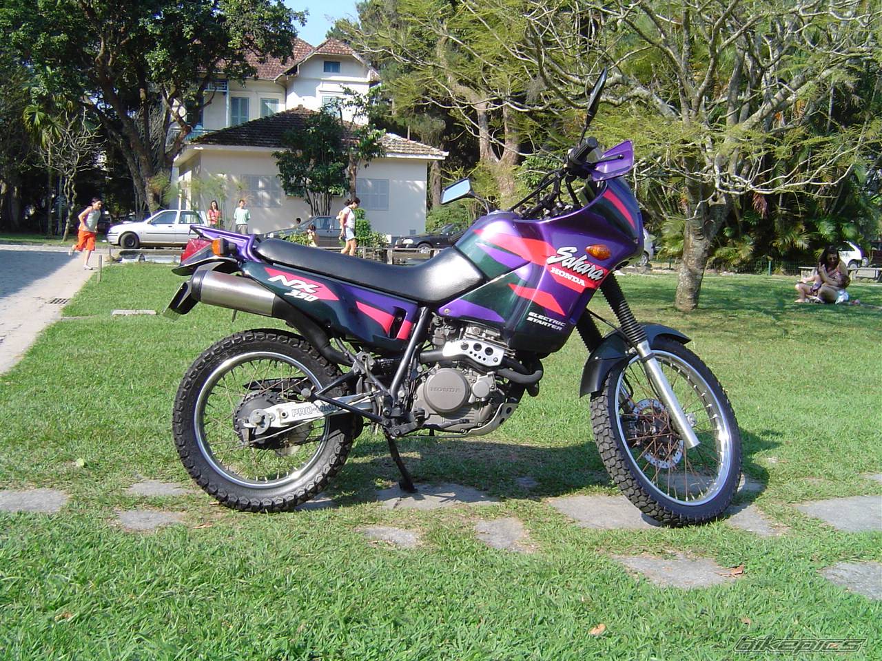 Photo 248763