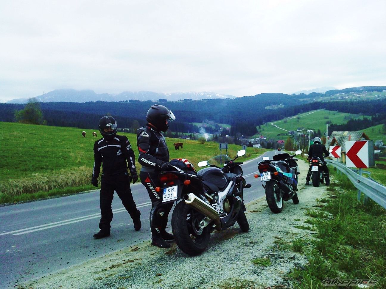 Photo 2487682