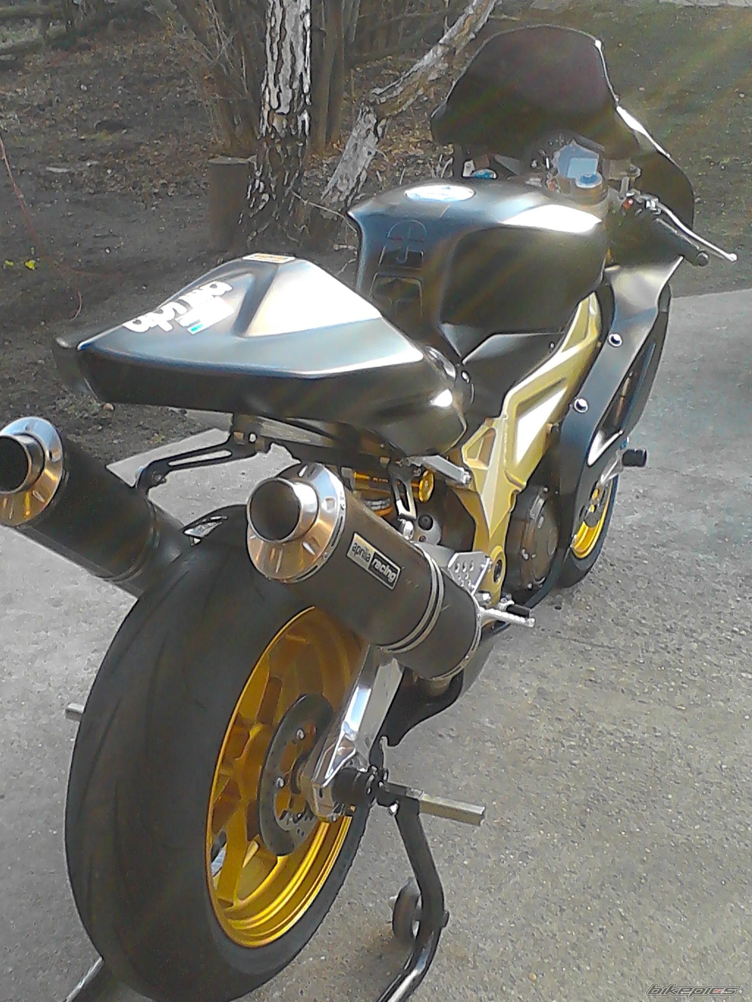 Photo 2487855