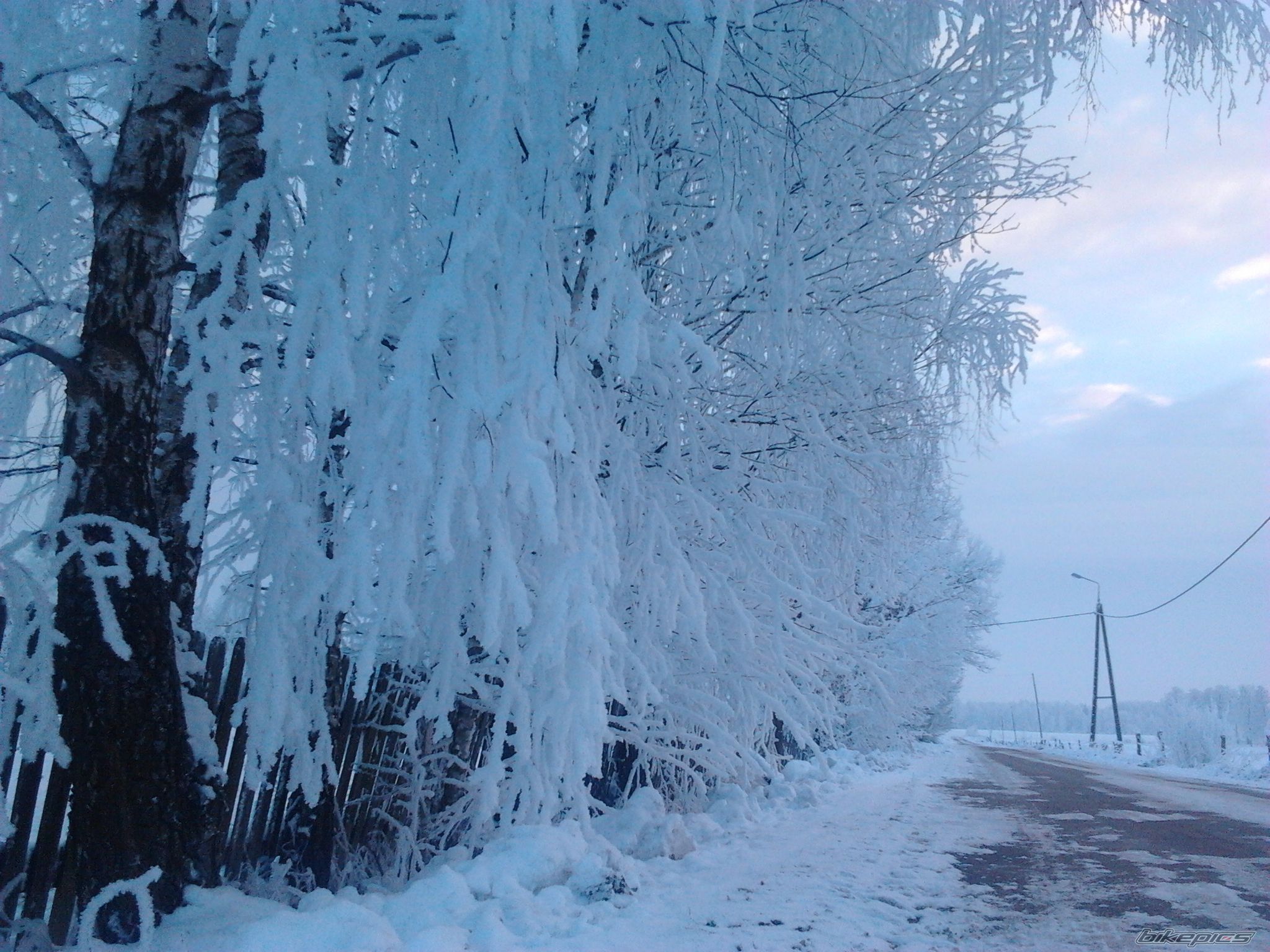Photo 2487864
