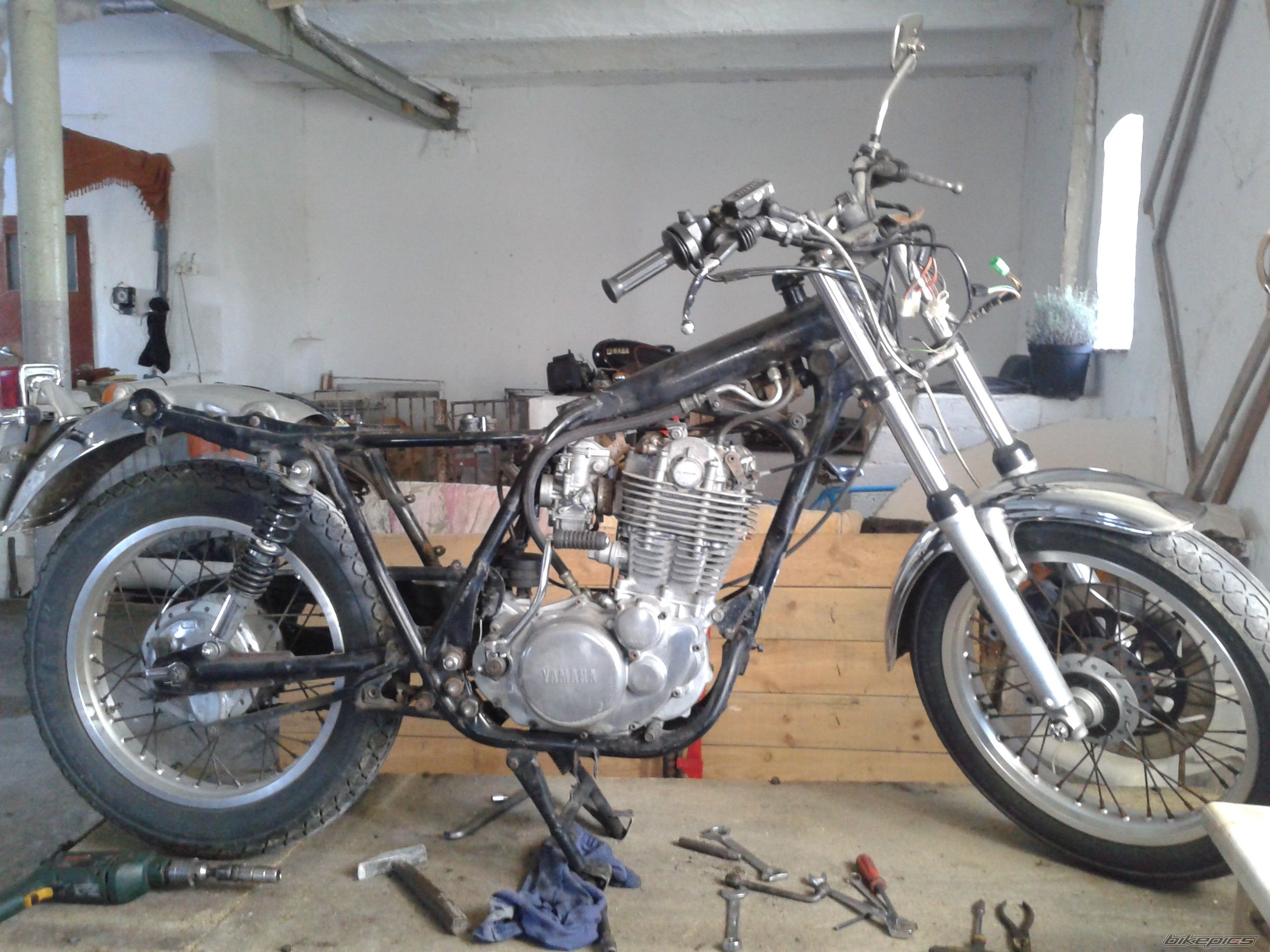 Photo 2487879