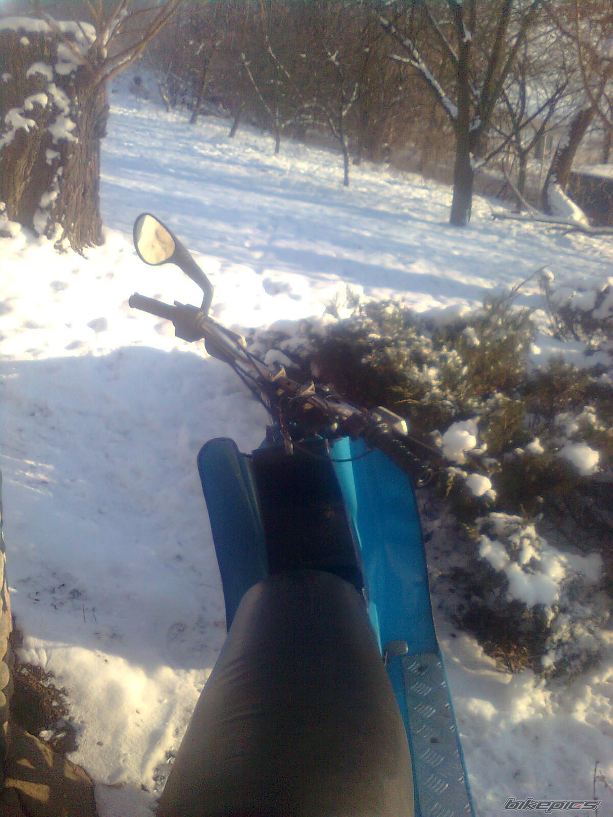 Photo 2488027