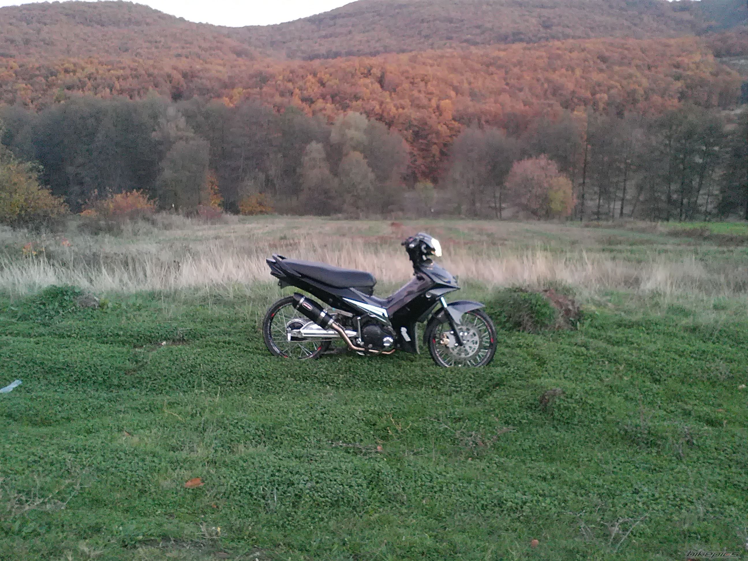 Photo 2488041