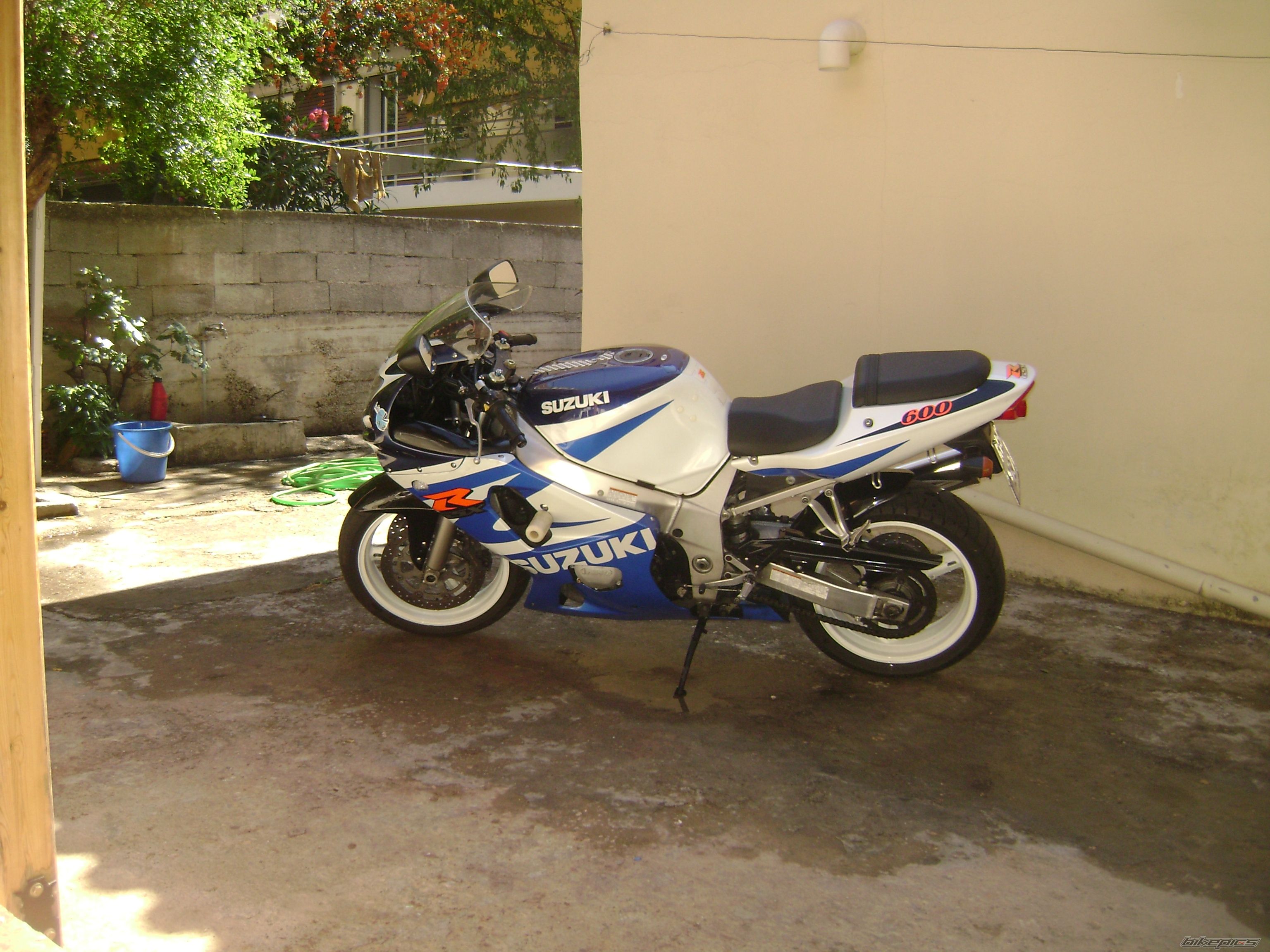 Photo 2488128