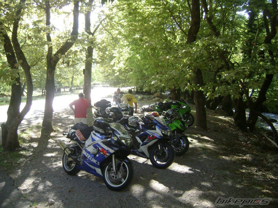 Photo 2488137
