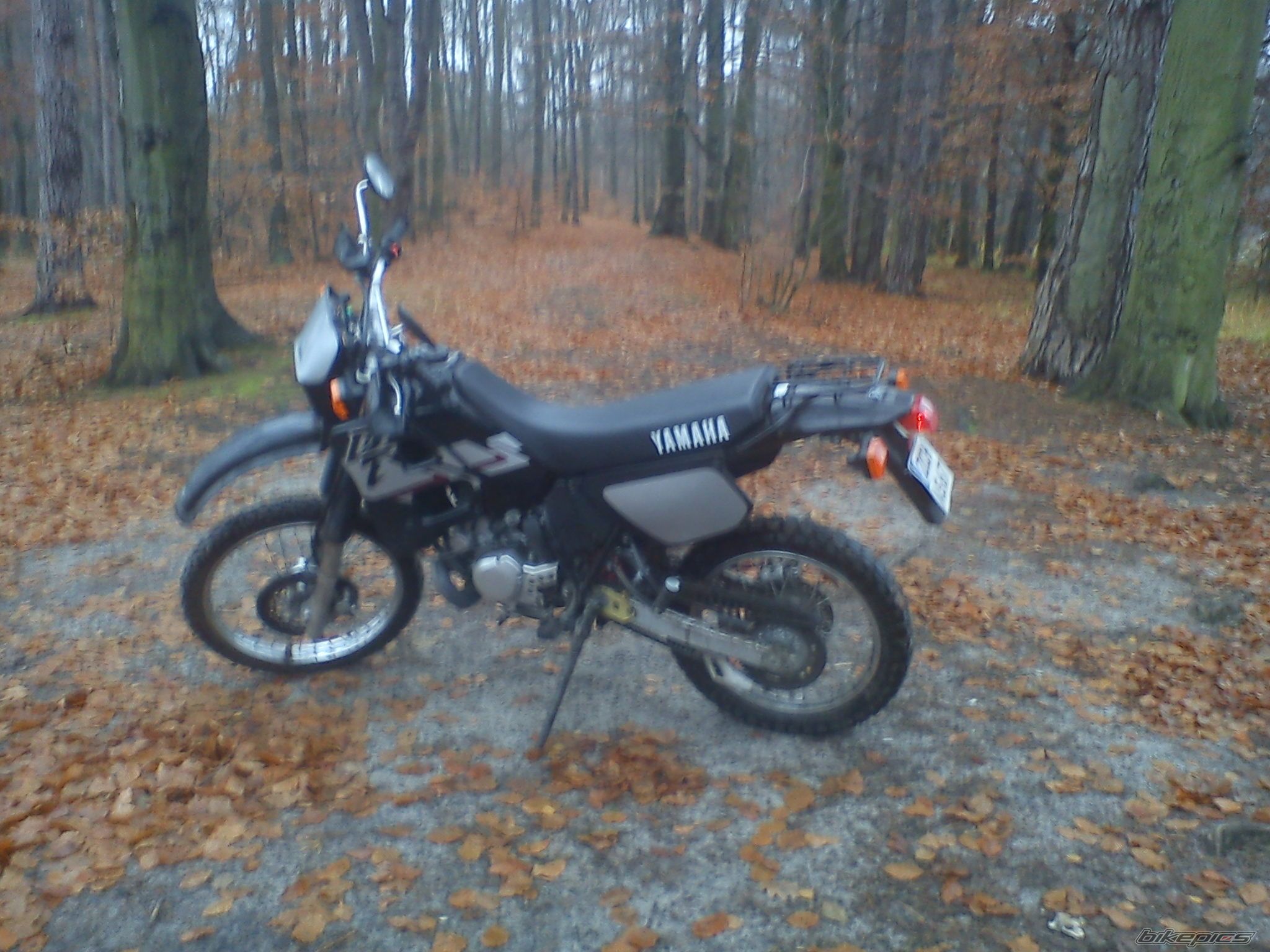 Photo 2488226
