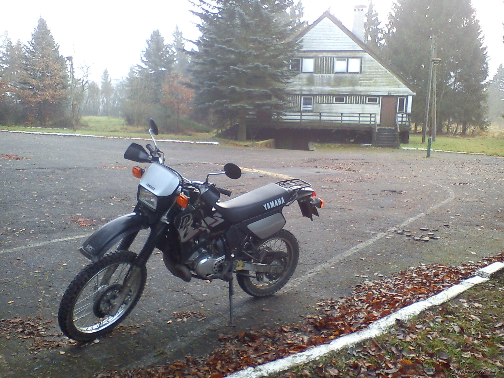 Photo 2488228
