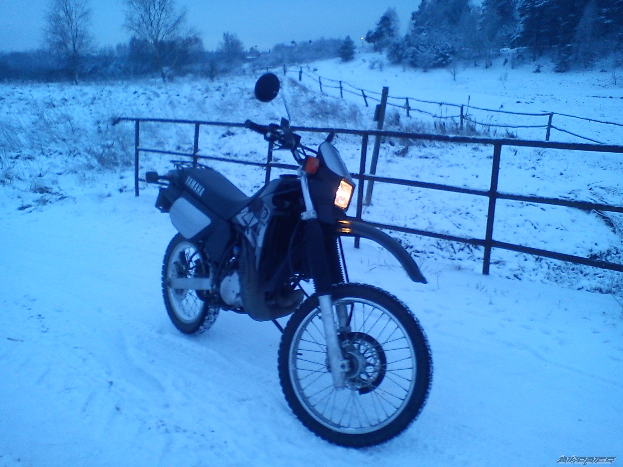 Photo 2488231