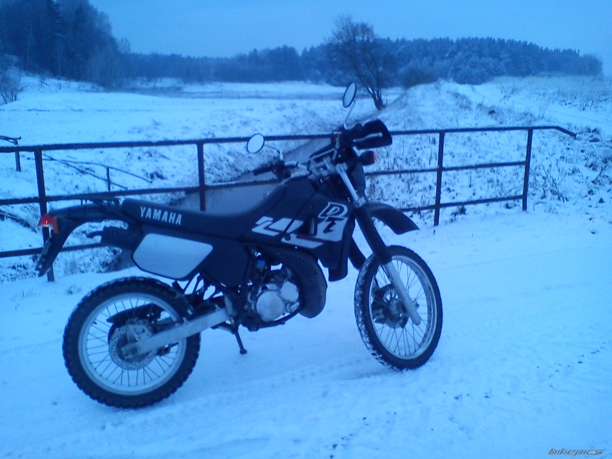 Photo 2488232