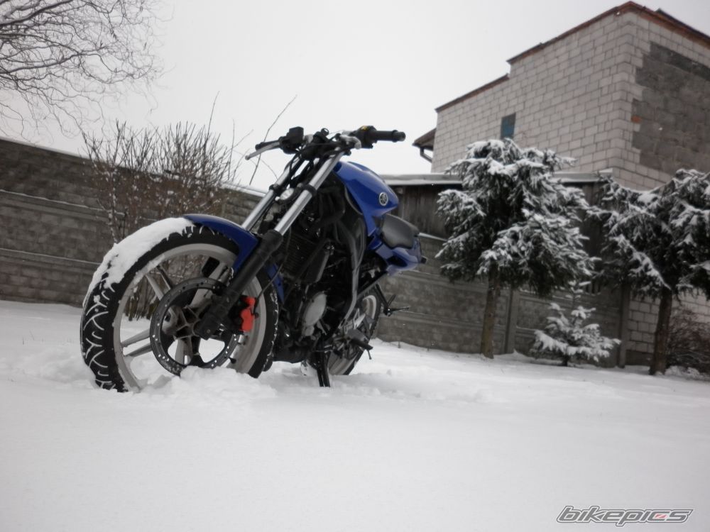 Photo 2488331