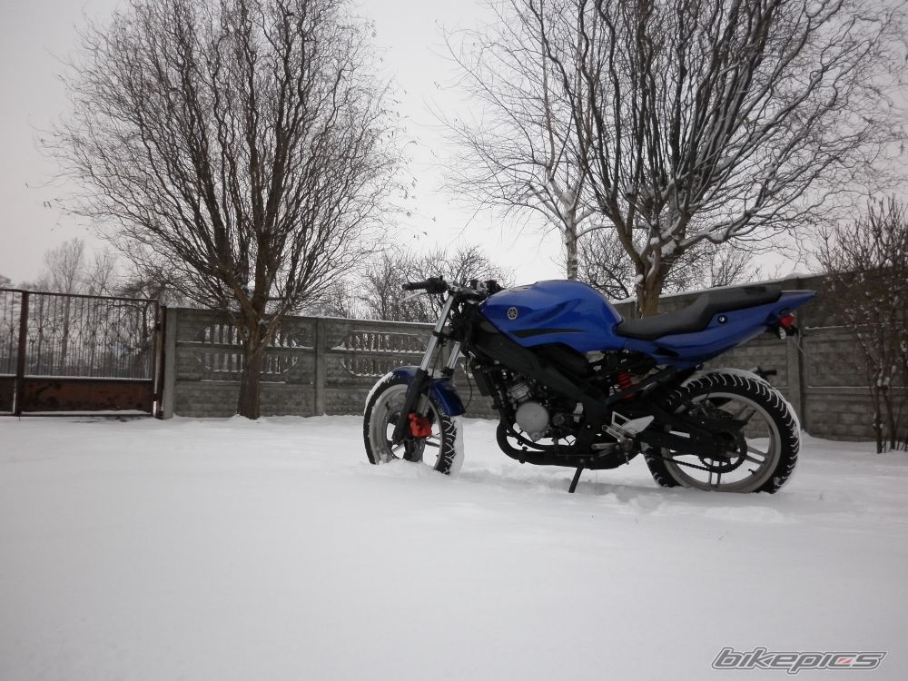 Photo 2488333