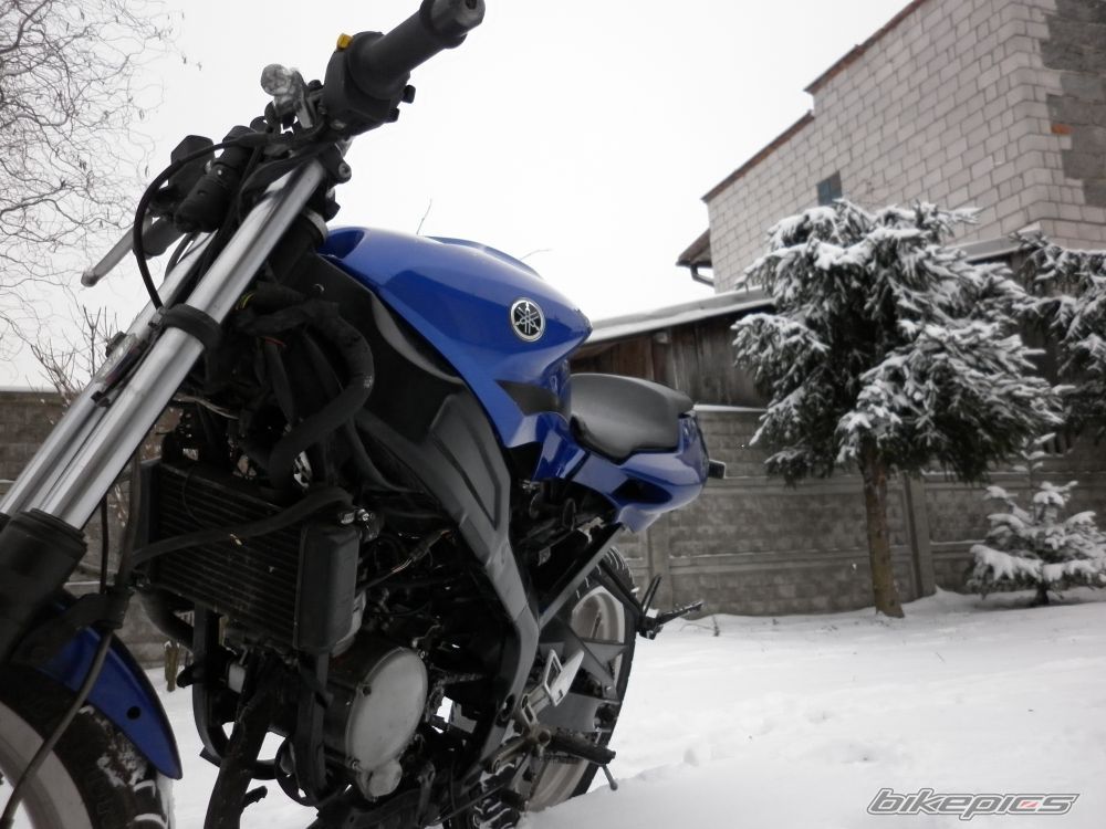 Photo 2488335
