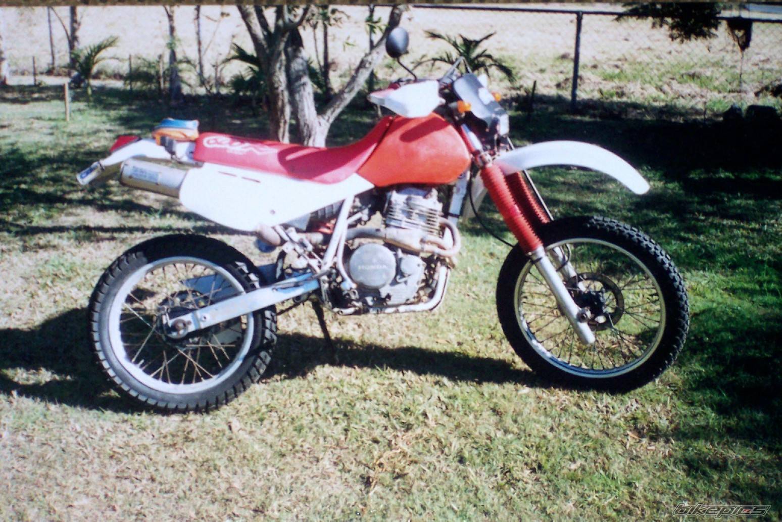 Photo 248836