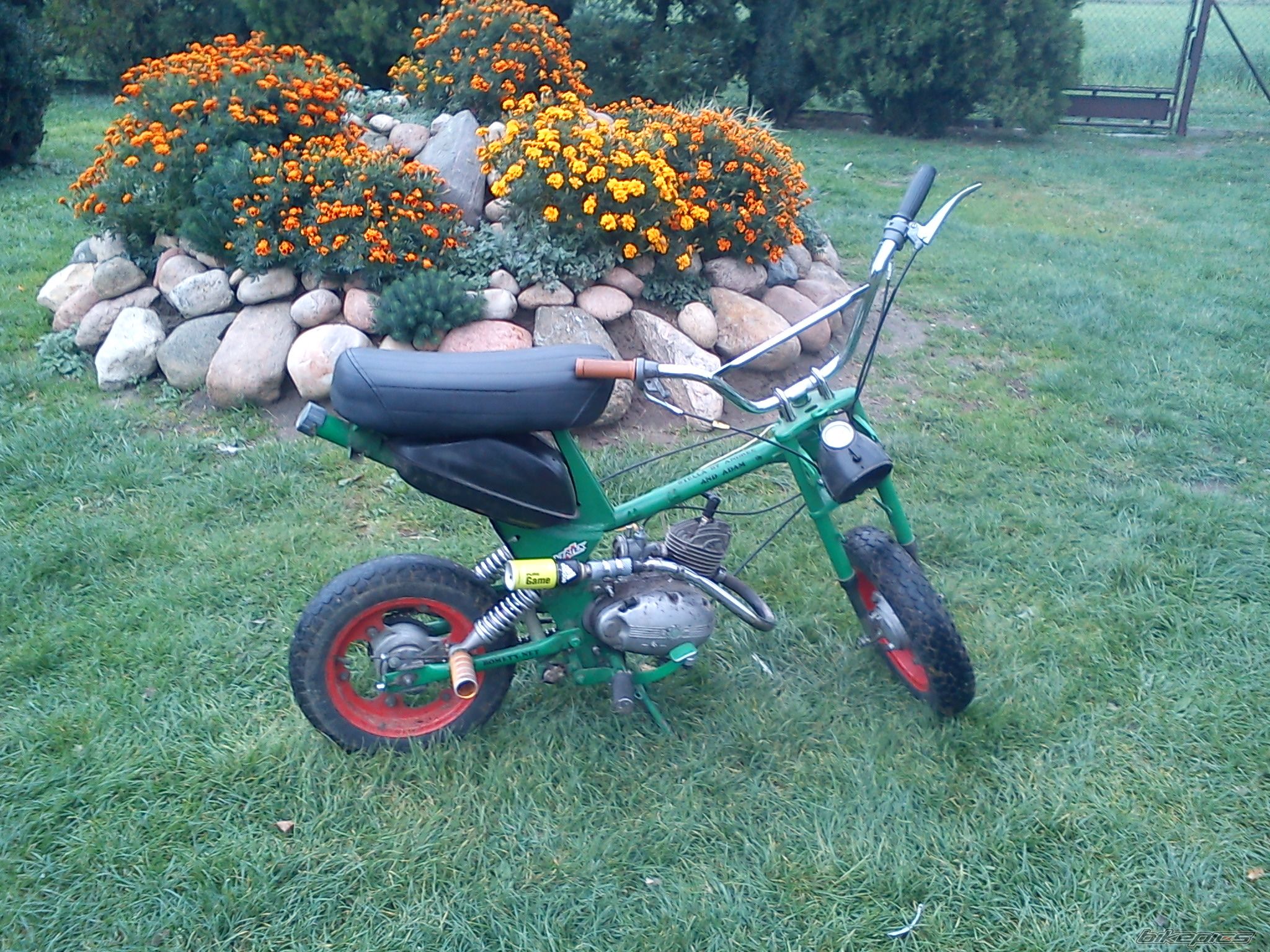 Photo 2488461