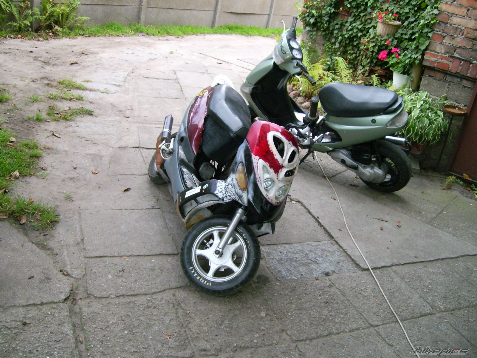 Photo 2488518