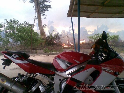 Photo 2488519