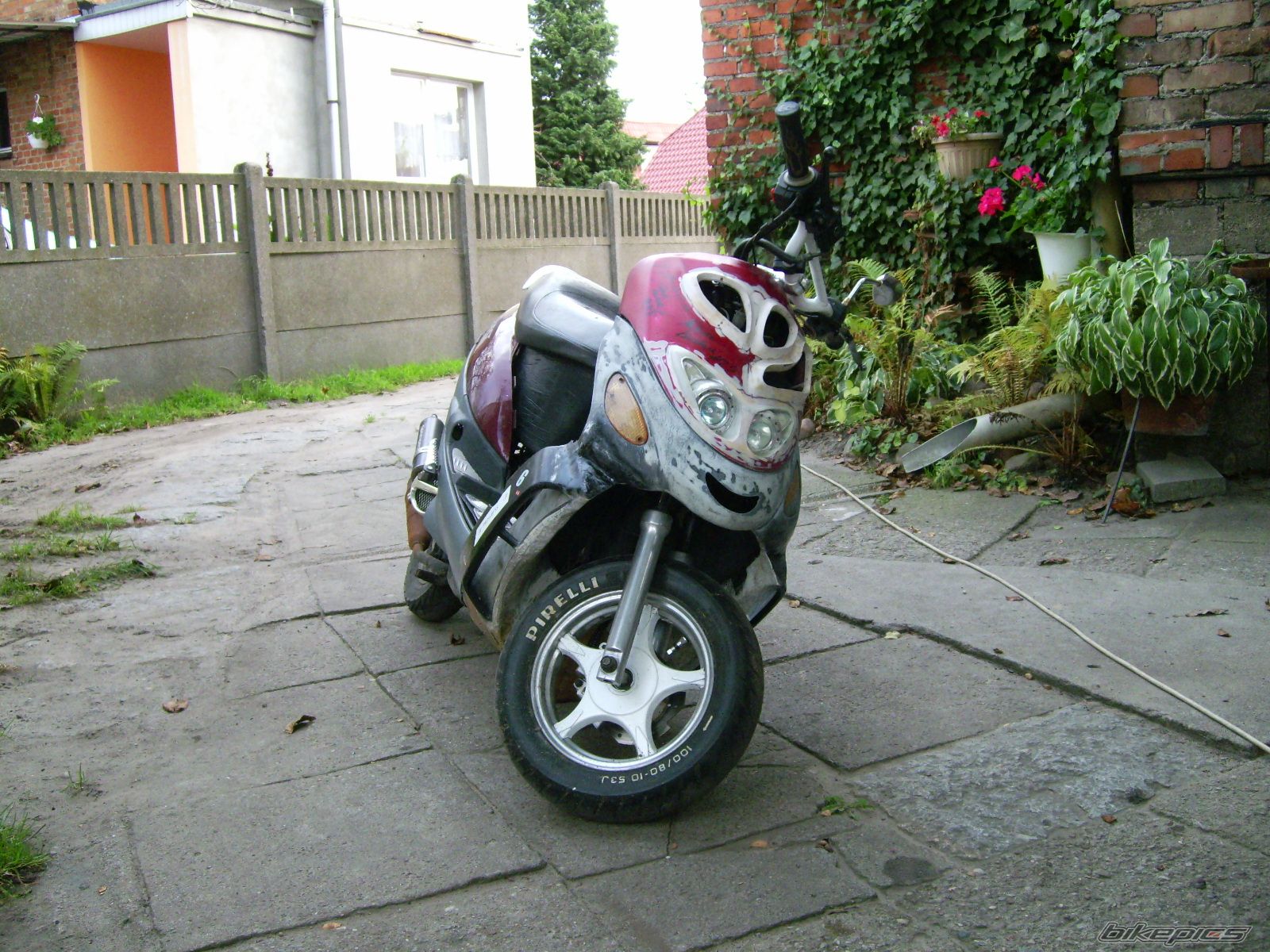 Photo 2488520