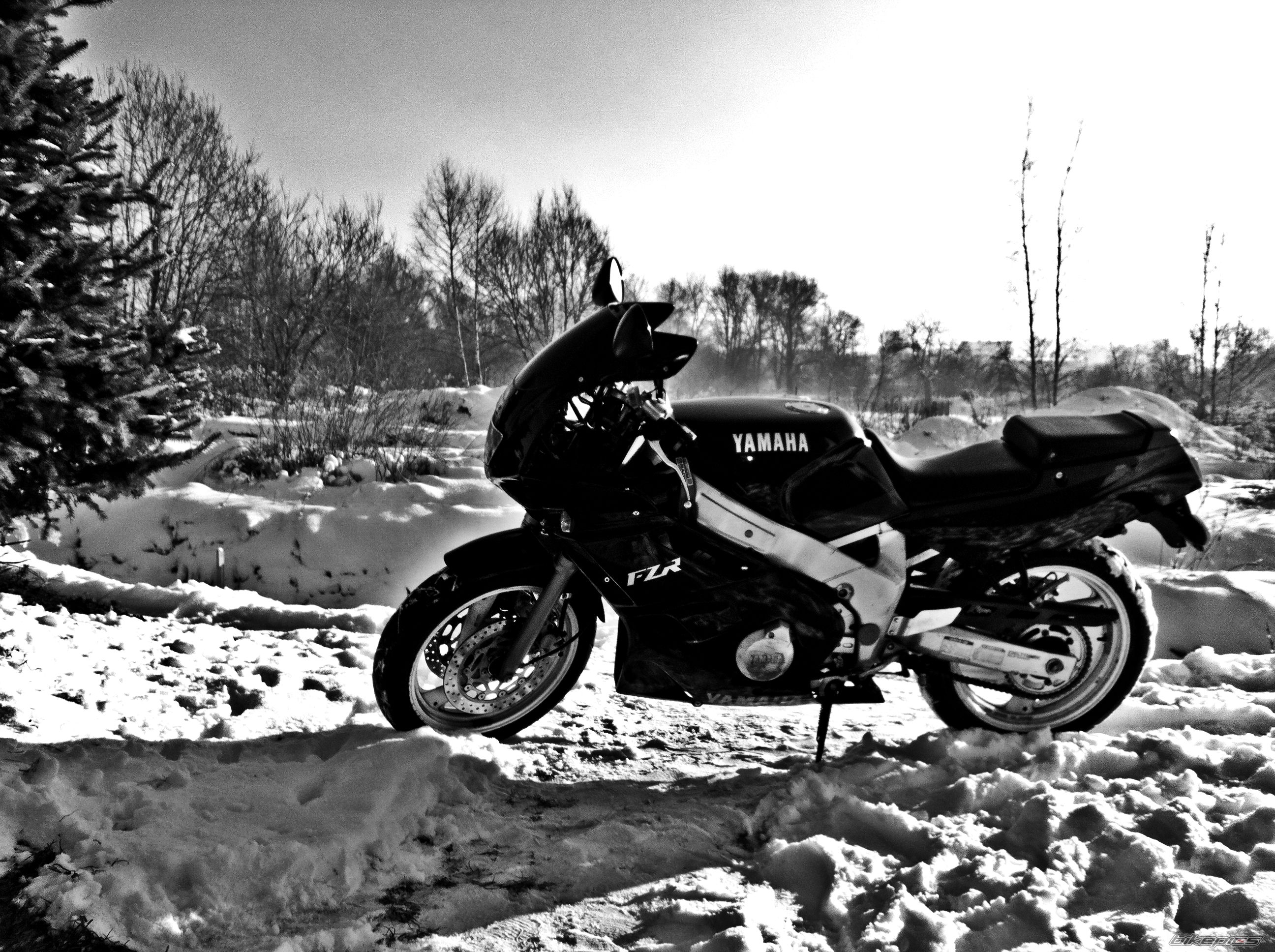 Photo 2488589