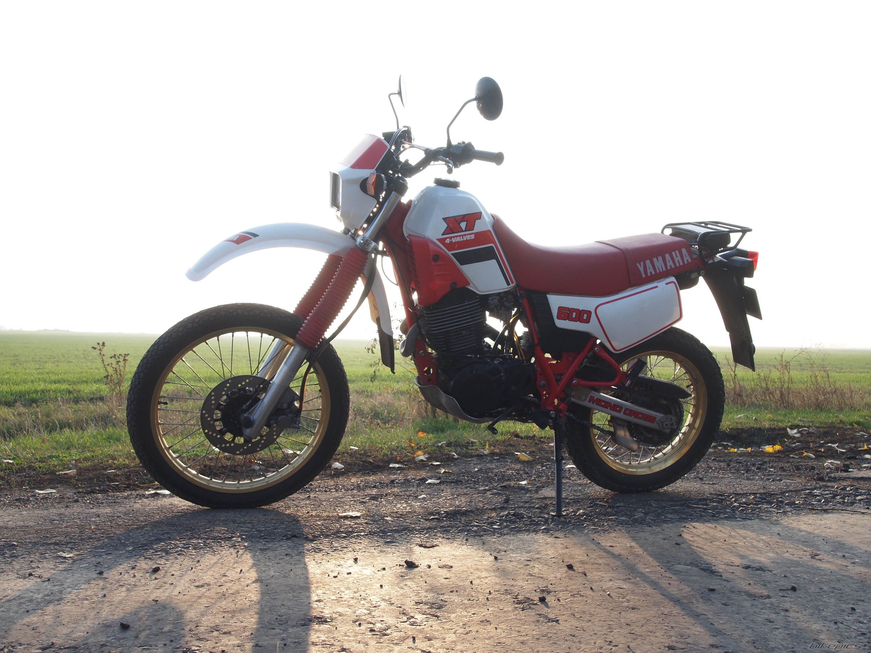 Photo 2488621