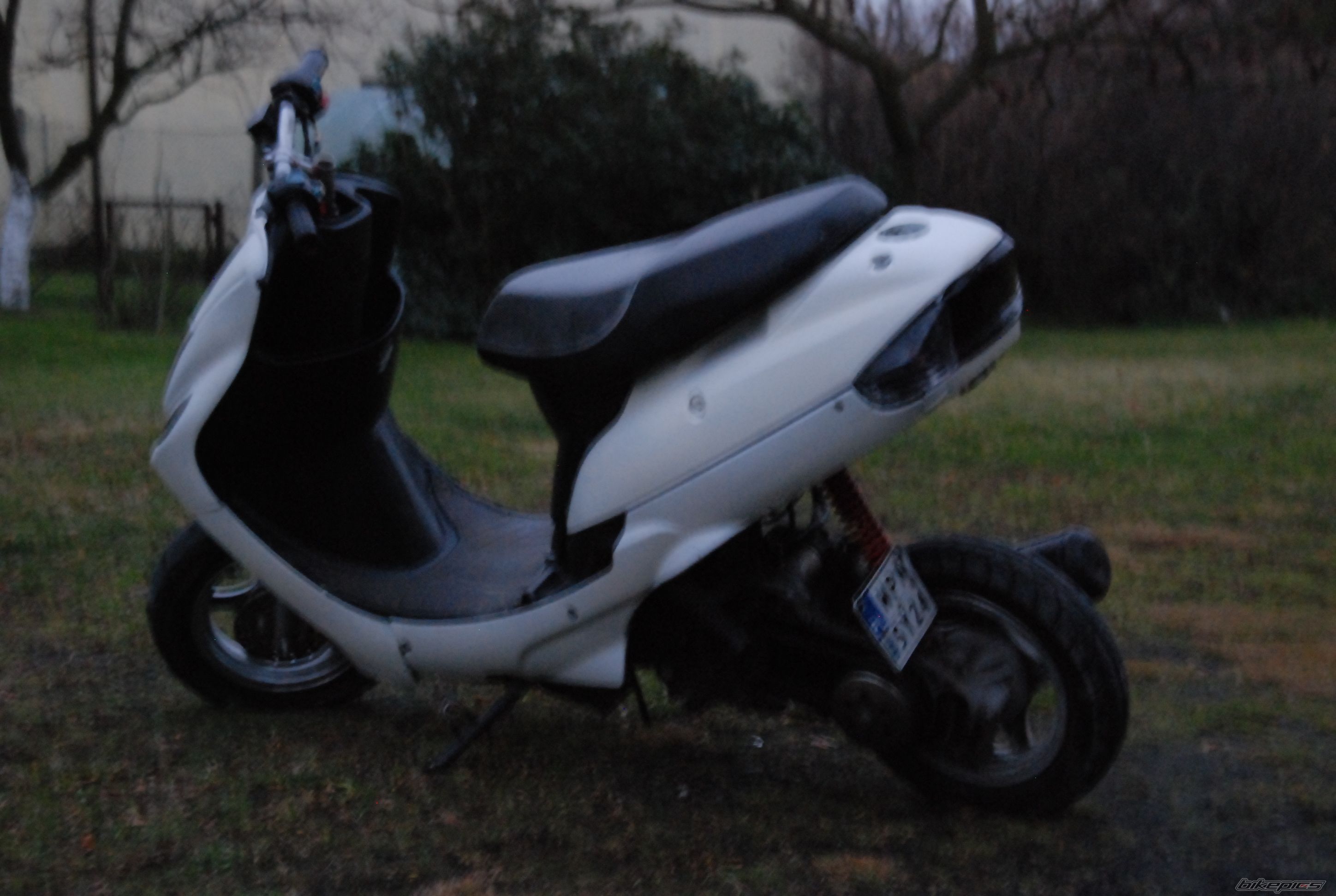 Photo 2488695