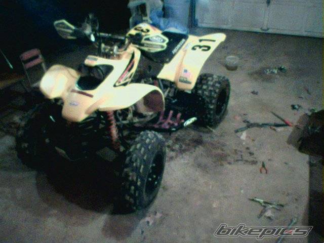 Photo 248874