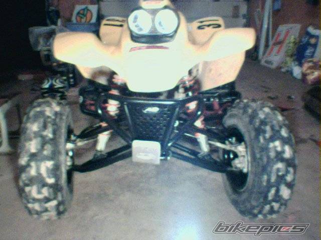 Photo 248876