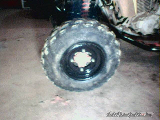 Photo 248877