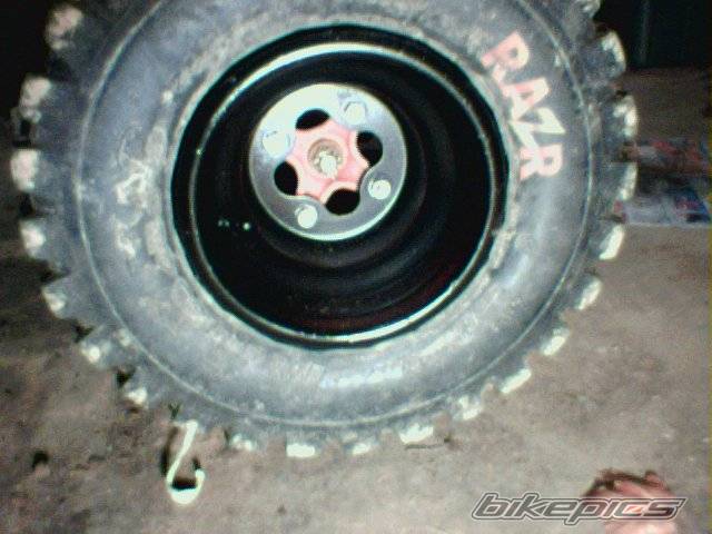 Photo 248880