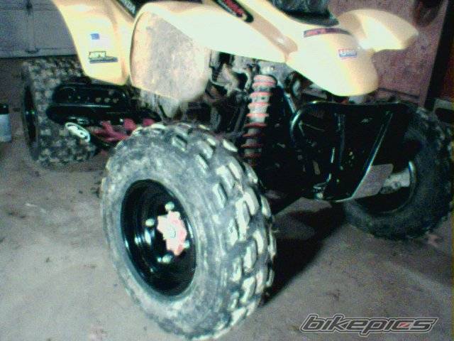 Photo 248882