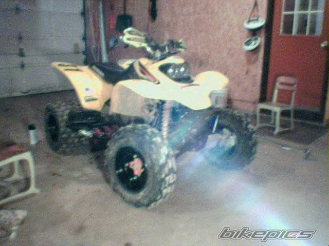 Photo 248883