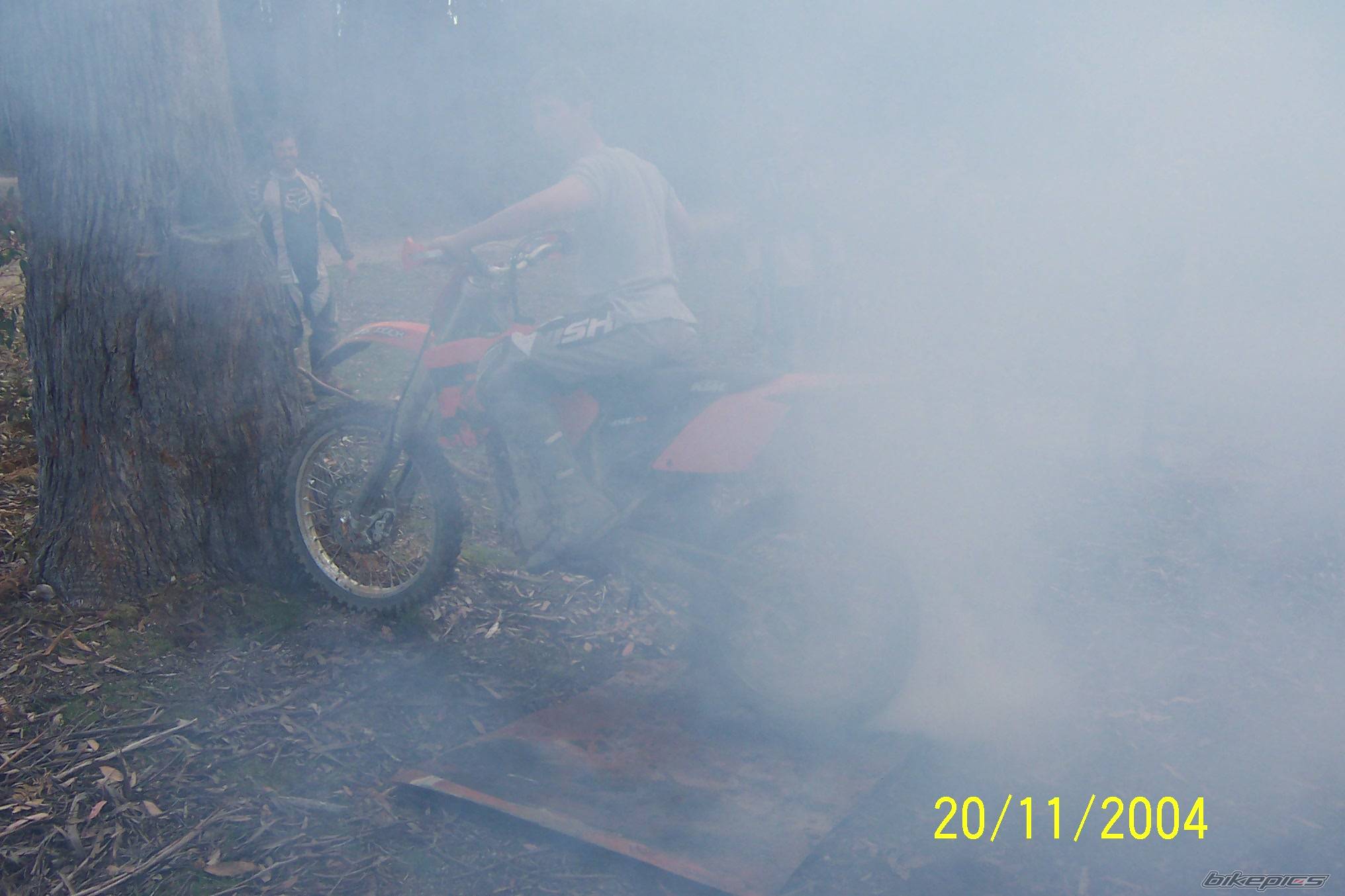 Photo 248888