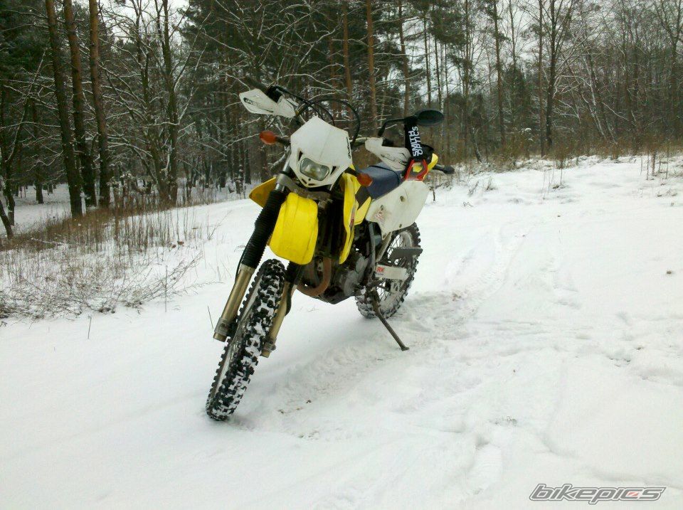 Photo 2488880