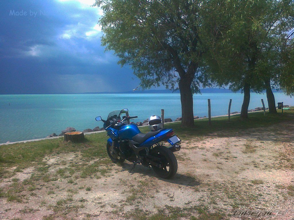 Photo 2488943