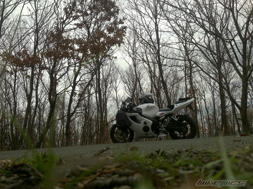 Photo 2488967