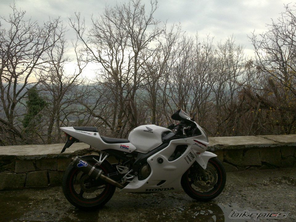 Photo 2488968