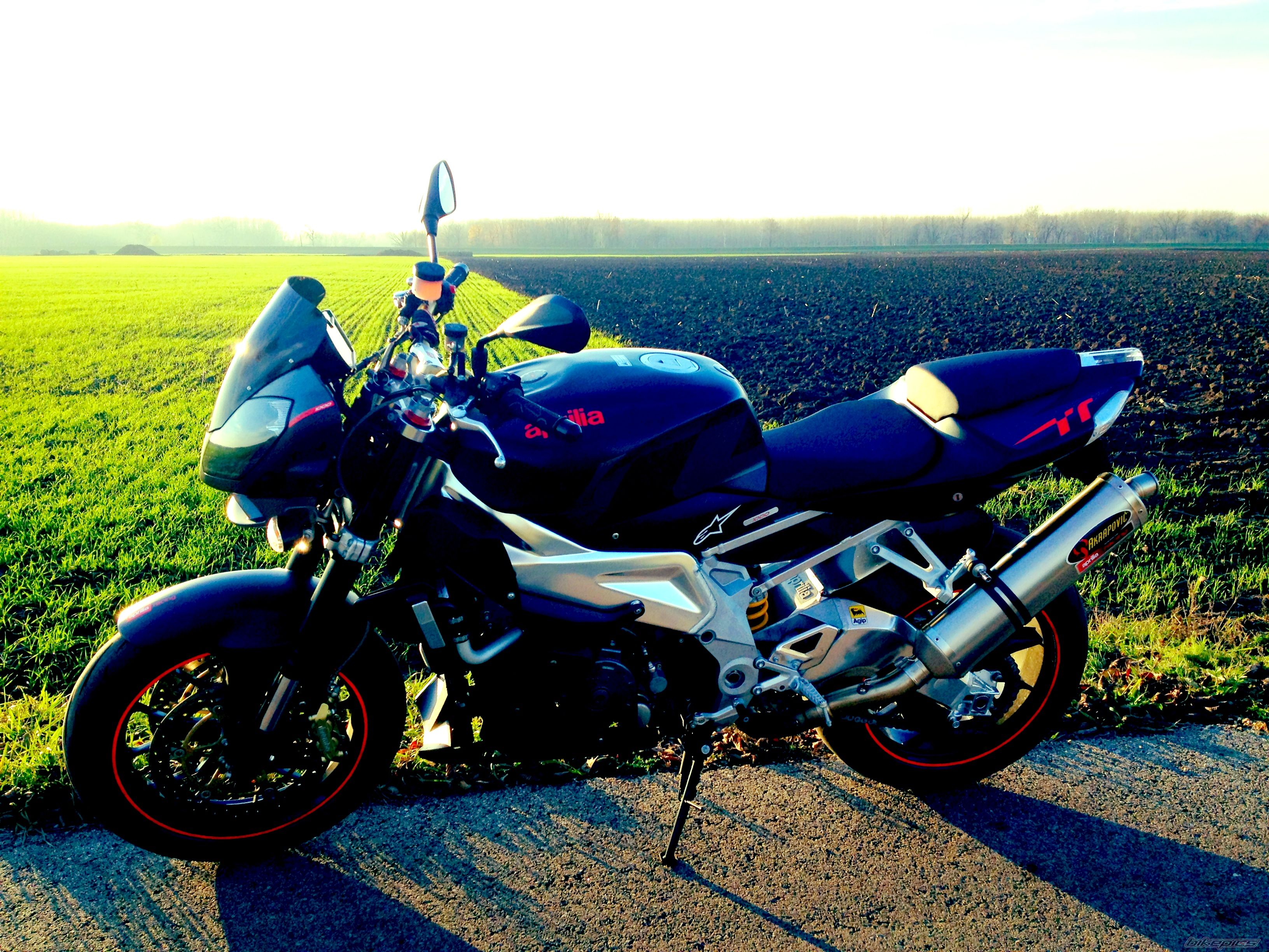 Photo 2489237