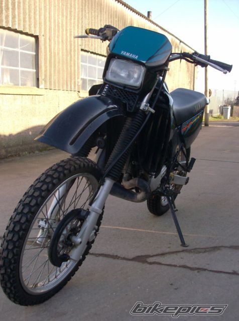 Photo 2489259