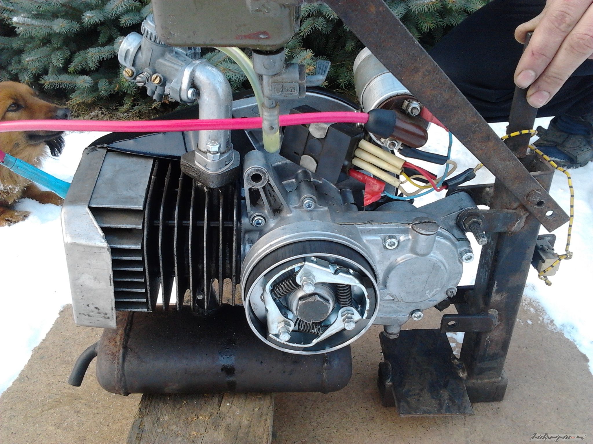 Photo 2489288