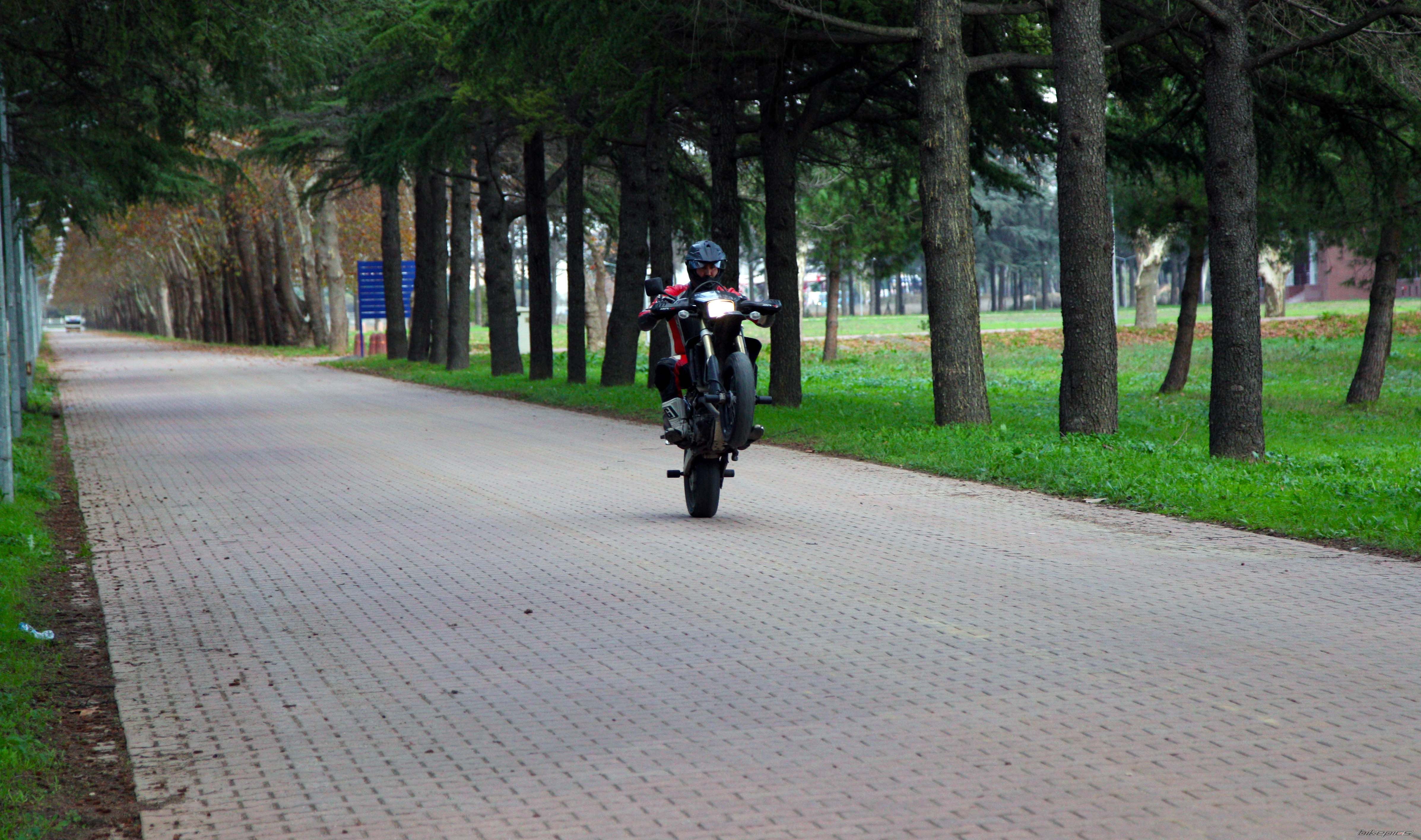 Photo 2489365