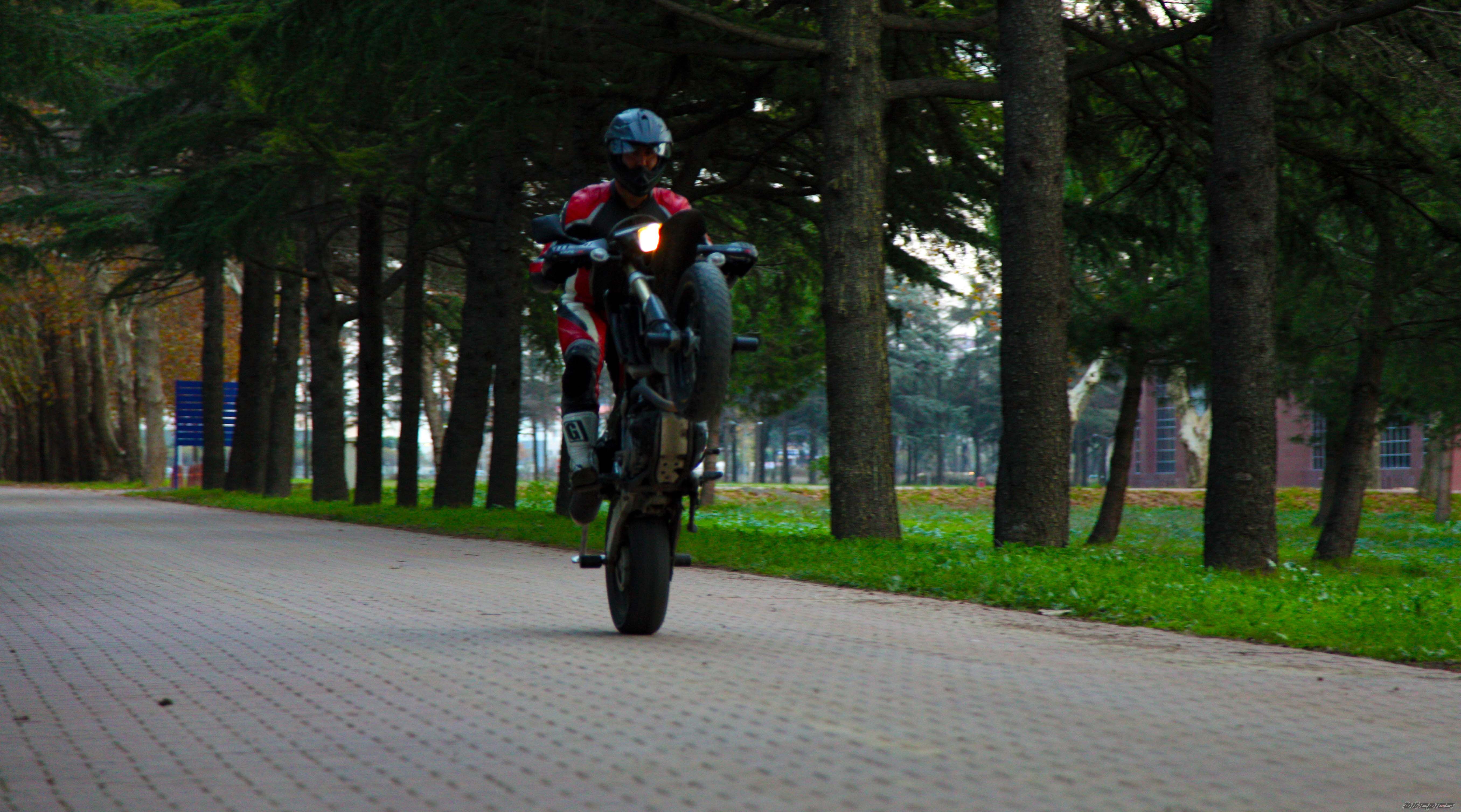 Photo 2489370