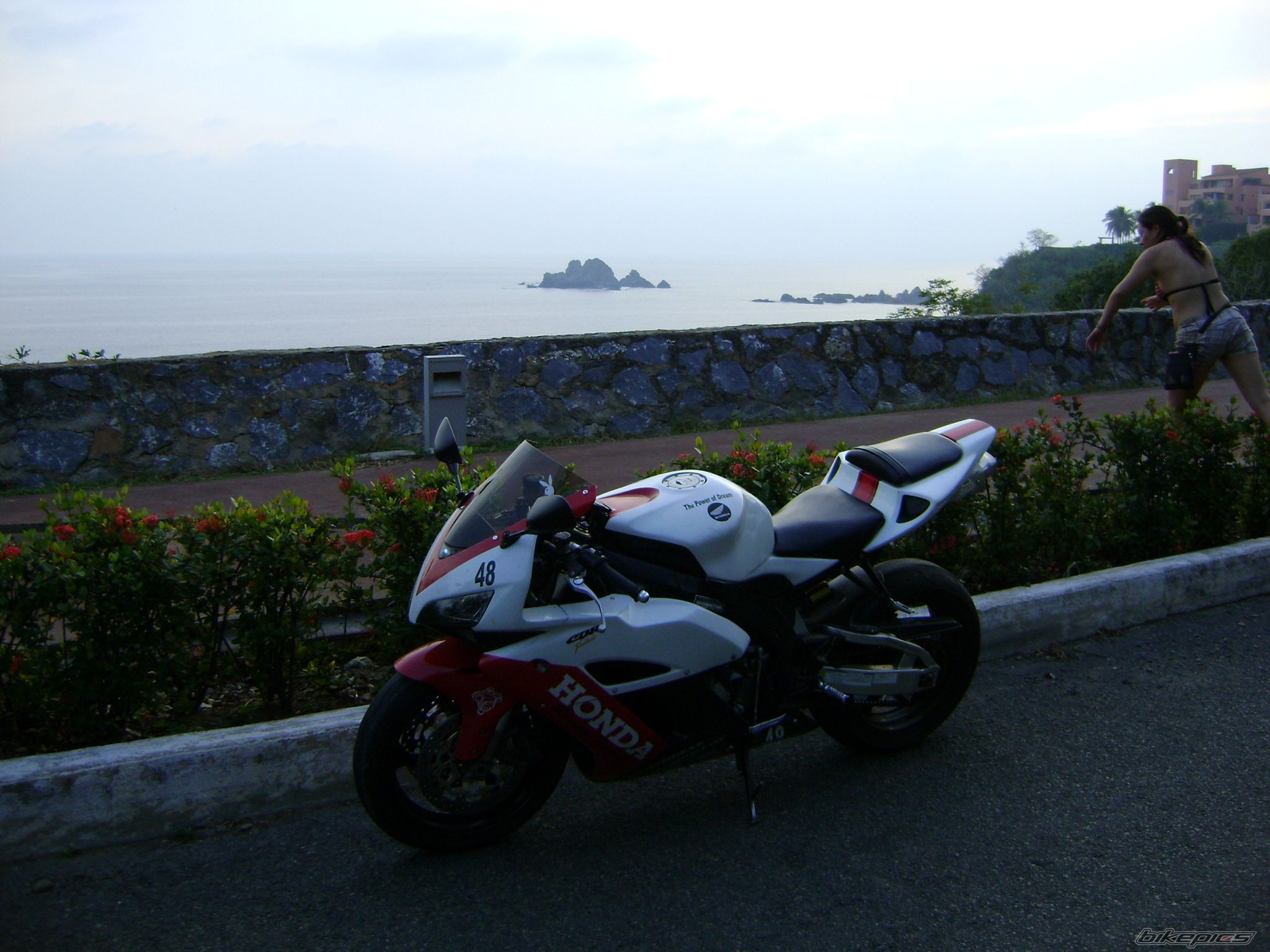 Photo 2489424