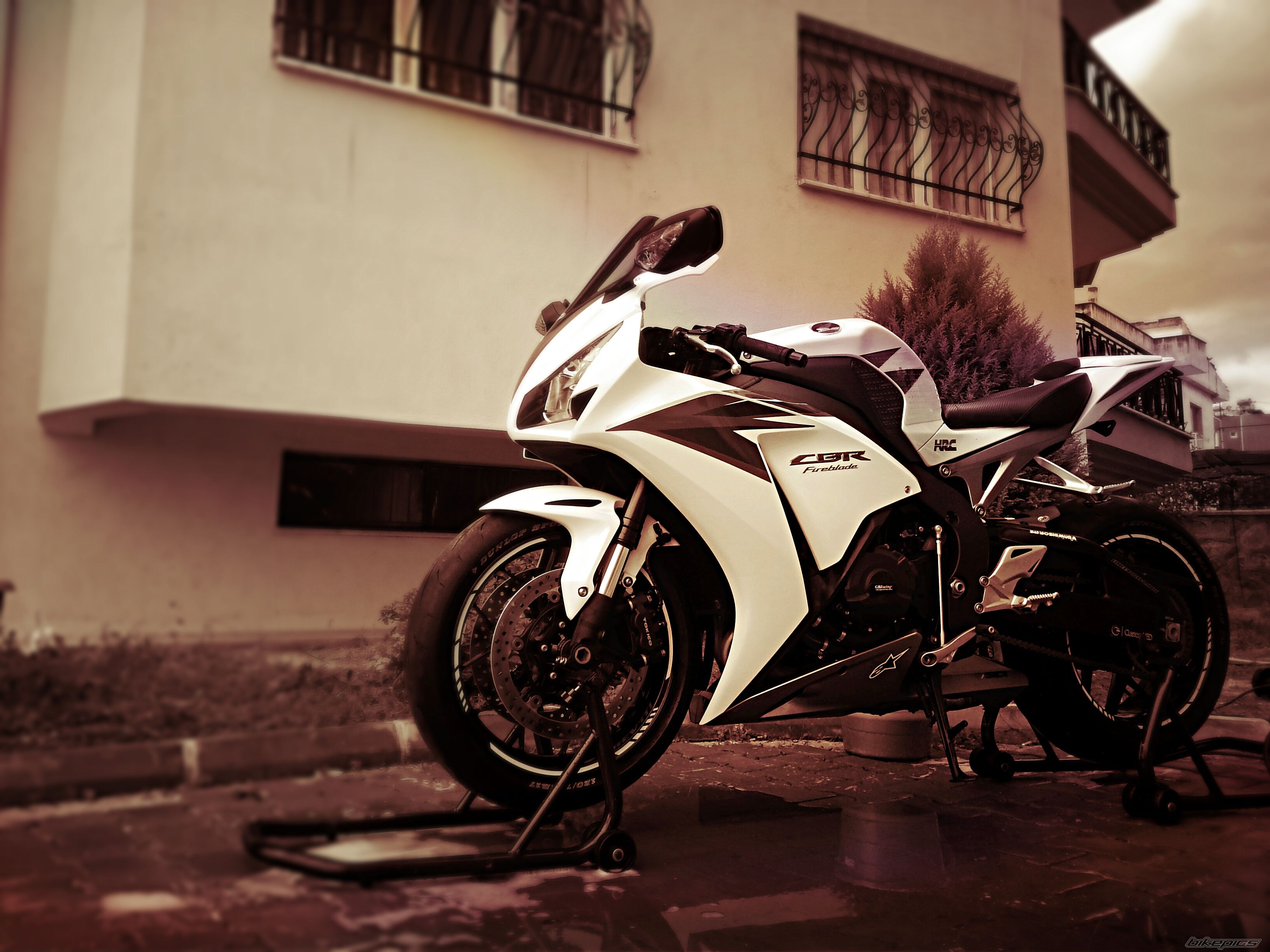 Photo 2489562