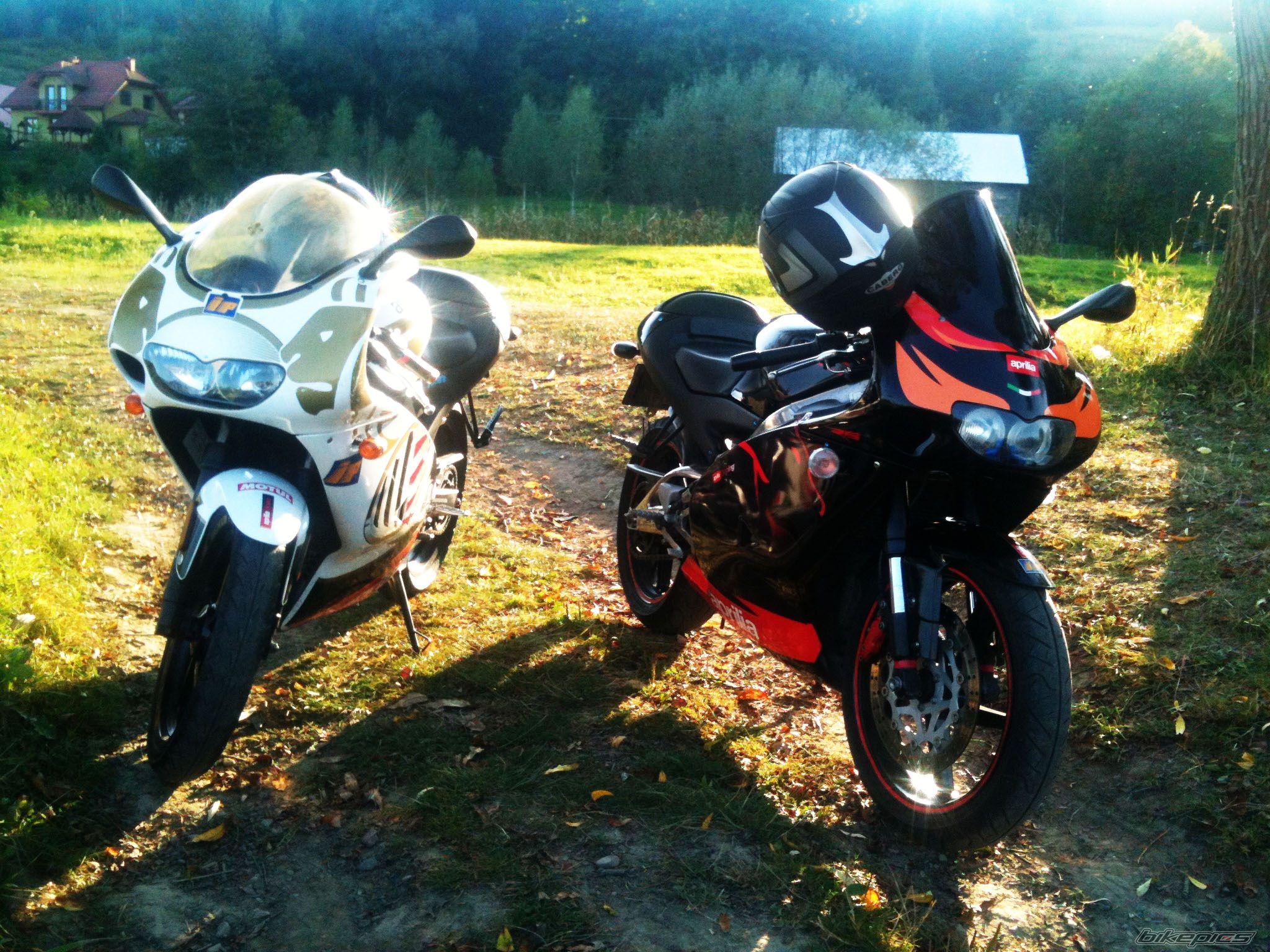 Photo 2489686