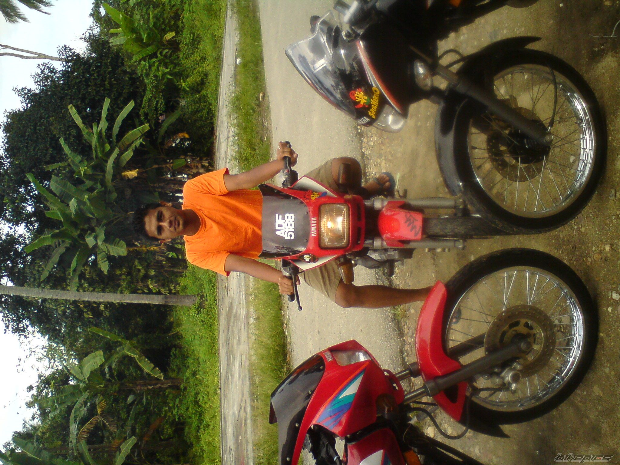 Photo 2489794