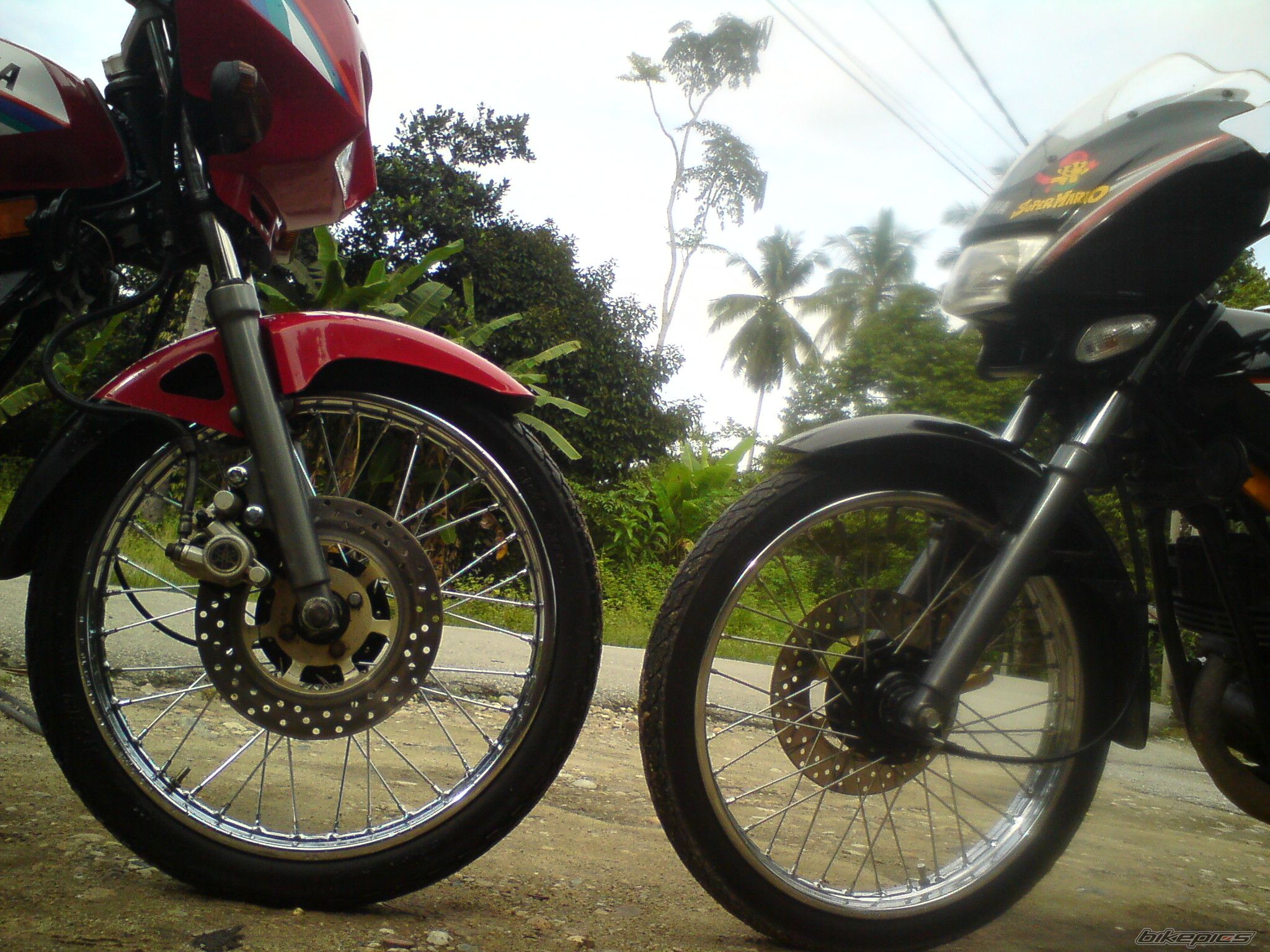 Photo 2489796