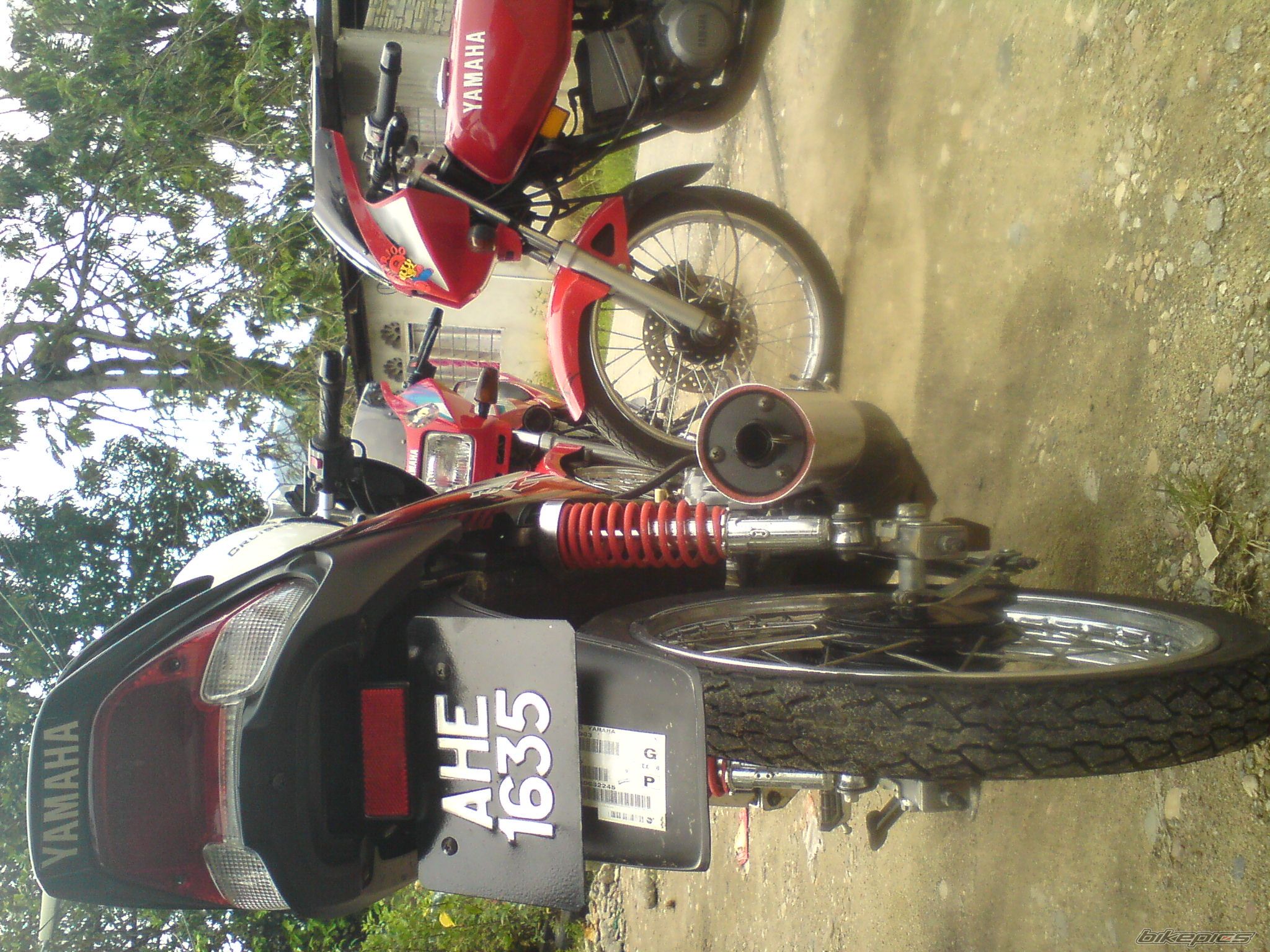 Photo 2489798
