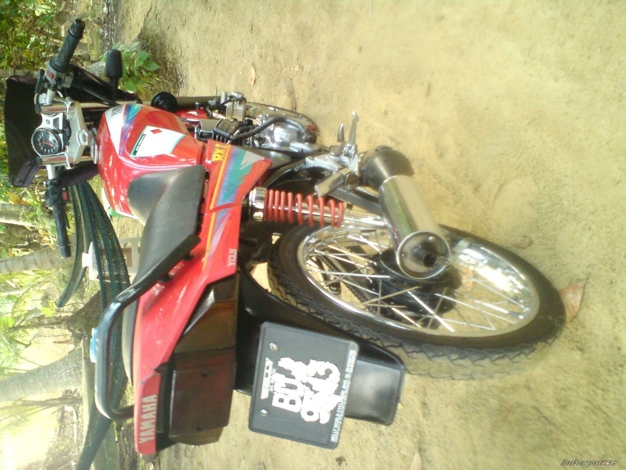 Photo 2489808