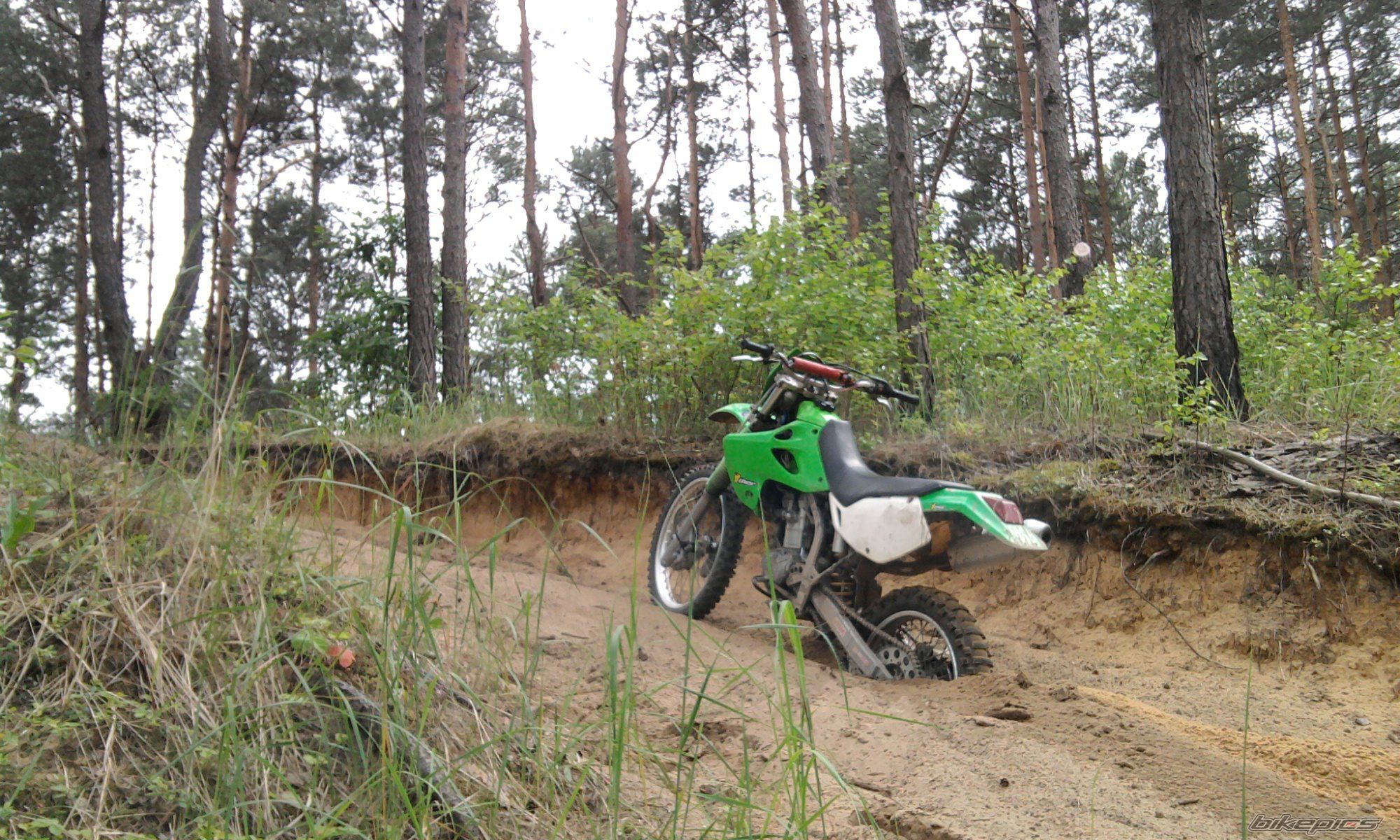 Photo 2489913
